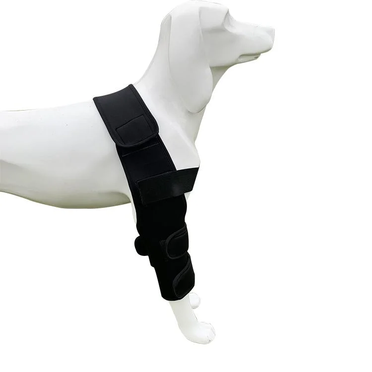 Knee Sleeve Best Knee Brace for Dogs Knee Support